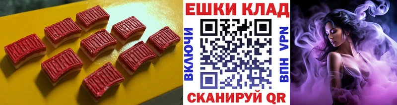 ЭКСТАЗИ Philipp Plein  Купить закладки  Спасск-Рязанский 