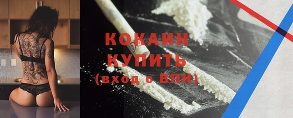 МДПВ Михайлов