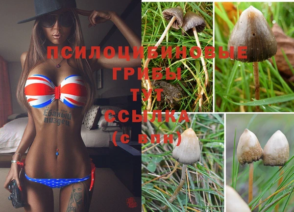 бутират Михайловка