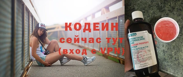 МДПВ Михайлов
