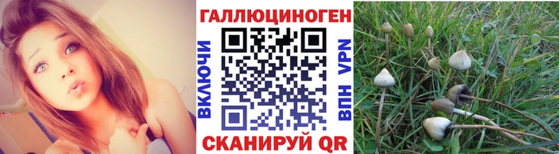 Псилоцибиновые грибы Magic Shrooms  Купить закладки  Спасск-Рязанский 